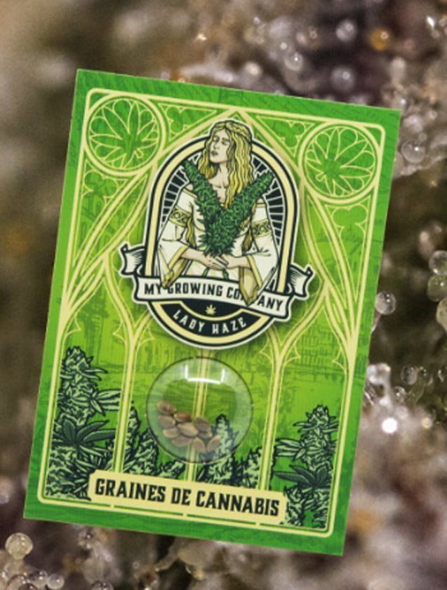 Graines de cannabis CBD Lady Haze by My Growing COmpany