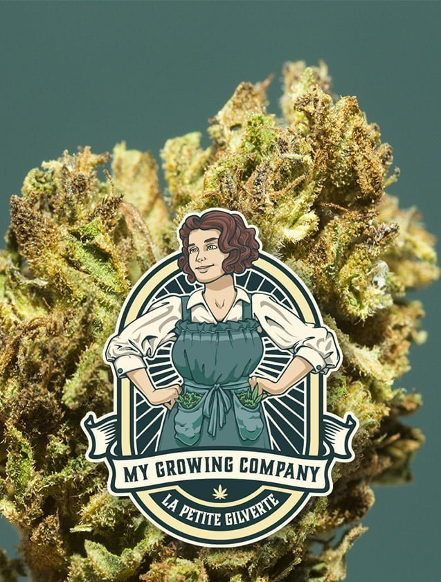 Petite Gilverte cannabis CBD outdoor My Growing Company MGC